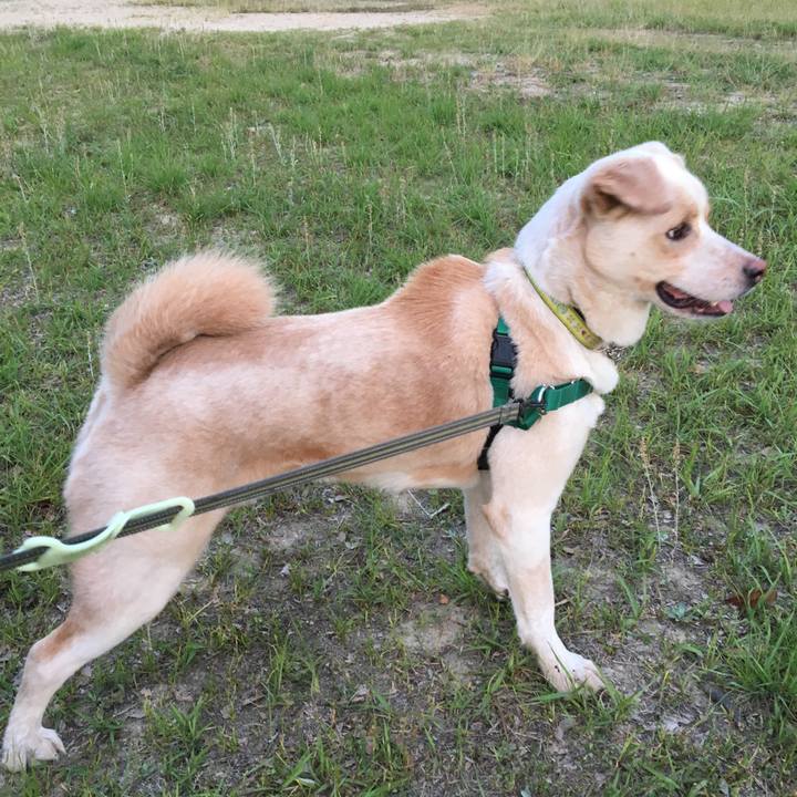 F6307744 0e18 4ce7 9df1 d96bda349123