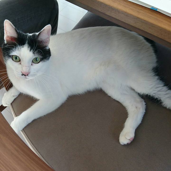 F630ad47 5f3d 43f2 88bb 3800b160ae8e