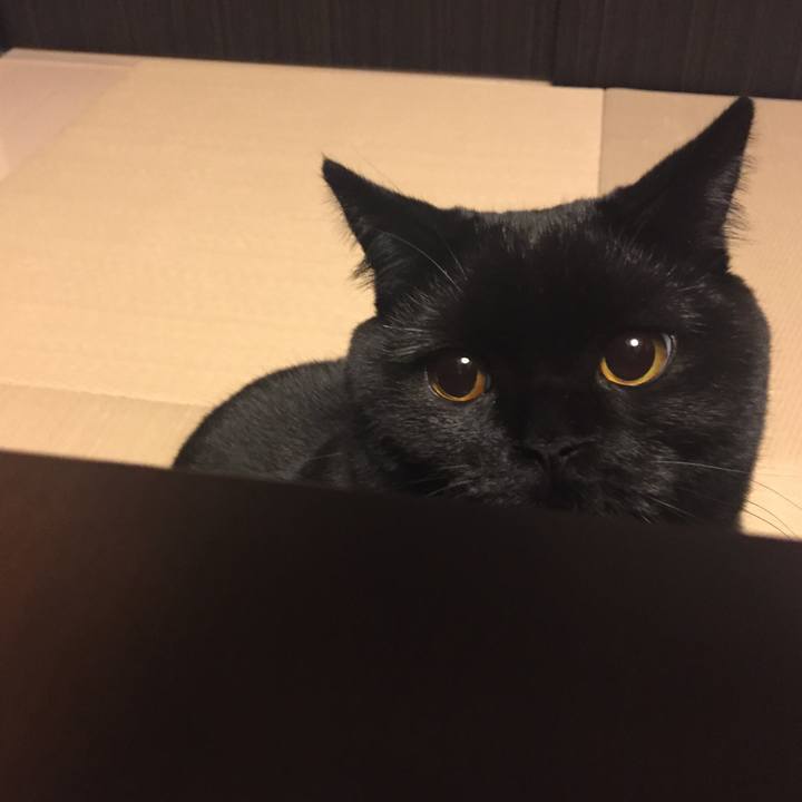 F630c208 1b70 497a 91d6 9203295d759e