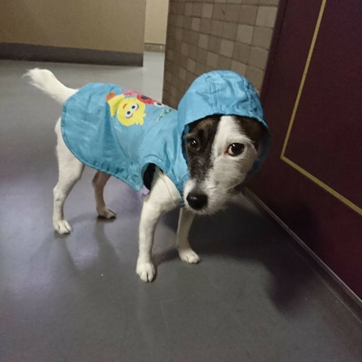 F631531b 742b 43e4 922f fcb20ed1eae8