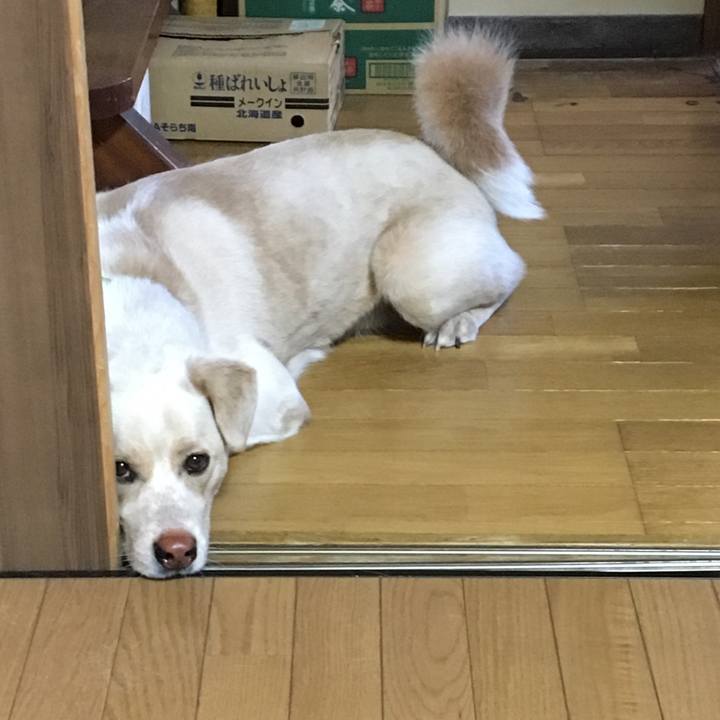 F6320d55 ed1f 46a4 8ca1 001a68c158a4