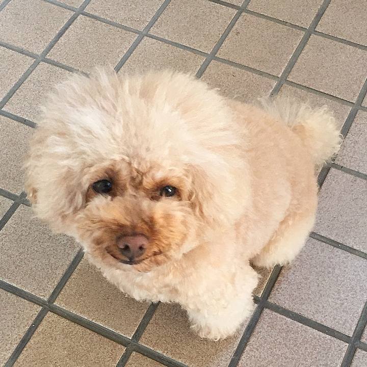 F632bad6 b237 49e2 b49d 64e457899f2c