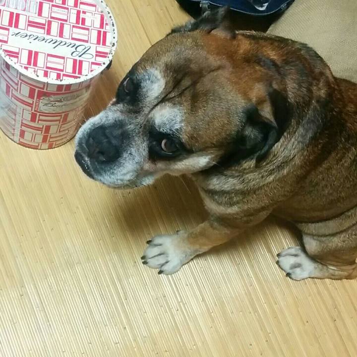 F6330f8a da57 4693 b33c e599af288172