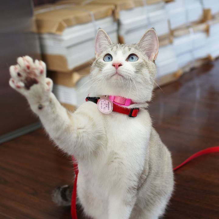 F633504f 21fd 4fd9 a046 67564bde2ef7