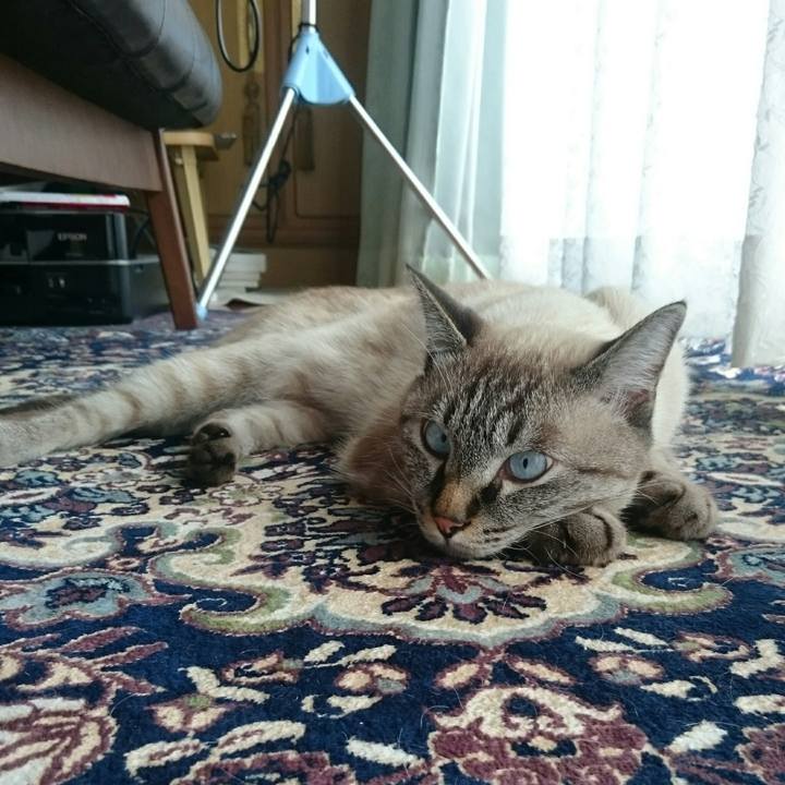 F6348b04 a333 4bb8 9ee9 f2b14068e9ae