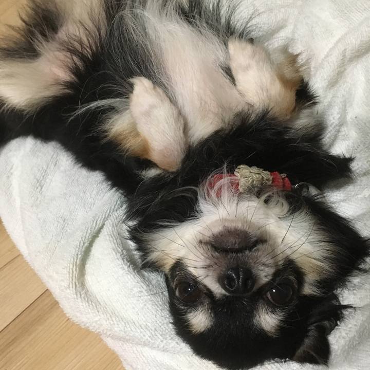 F6348b67 69d2 4cd2 9aed 3bebc42c8fec