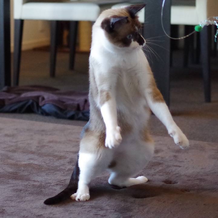 F634baa2 d10e 4bf8 96c5 c829c6ac96cf