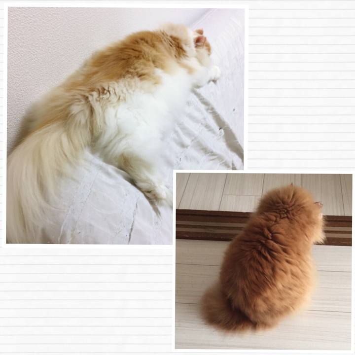 F6356297 90a3 4773 8db9 56111b8d2a8b