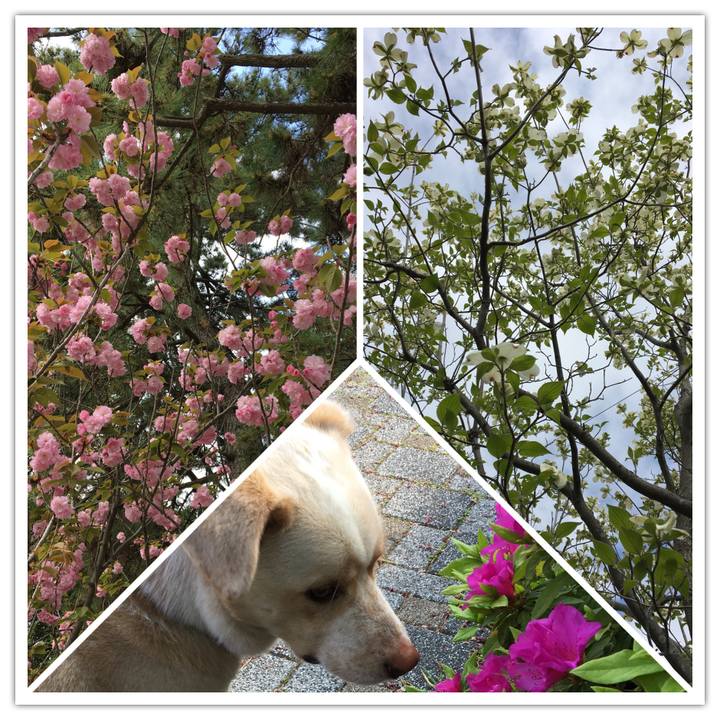 F6359d64 48aa 4fc3 bb18 b052c474afd9