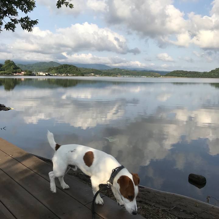 F635a97a b11f 407c 8961 e936041b494f