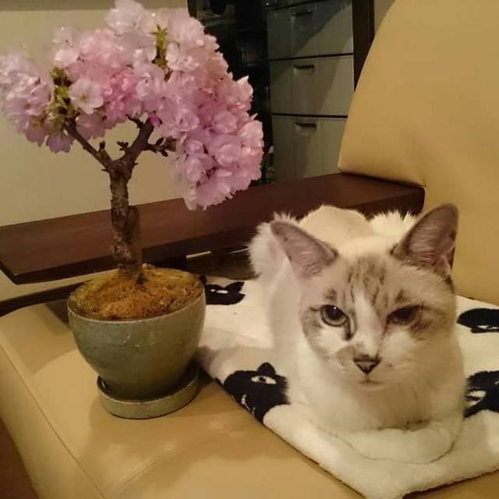 F635eab6 6386 4200 91f6 3a4d72dc229e