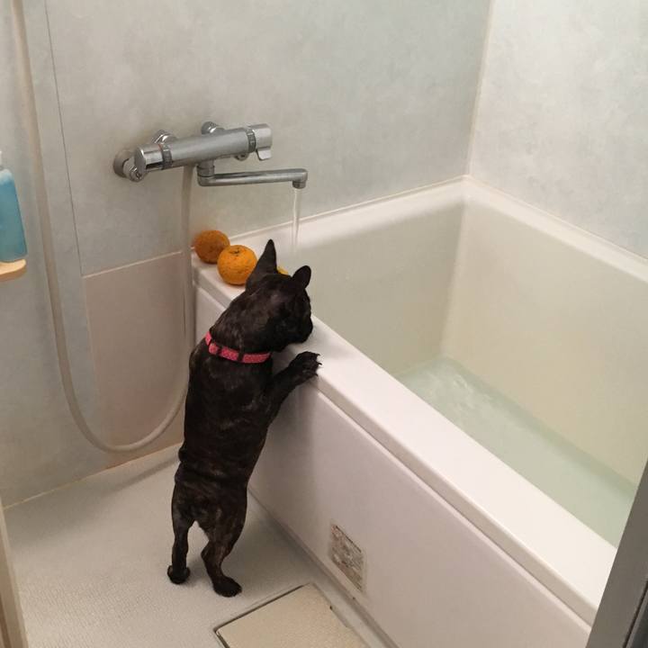 F6365cd0 24e2 4e30 949d 5b6d1a2c3e6c