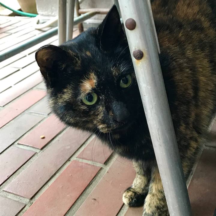 F63765d0 1d2c 419c bfaf e32e5281e547