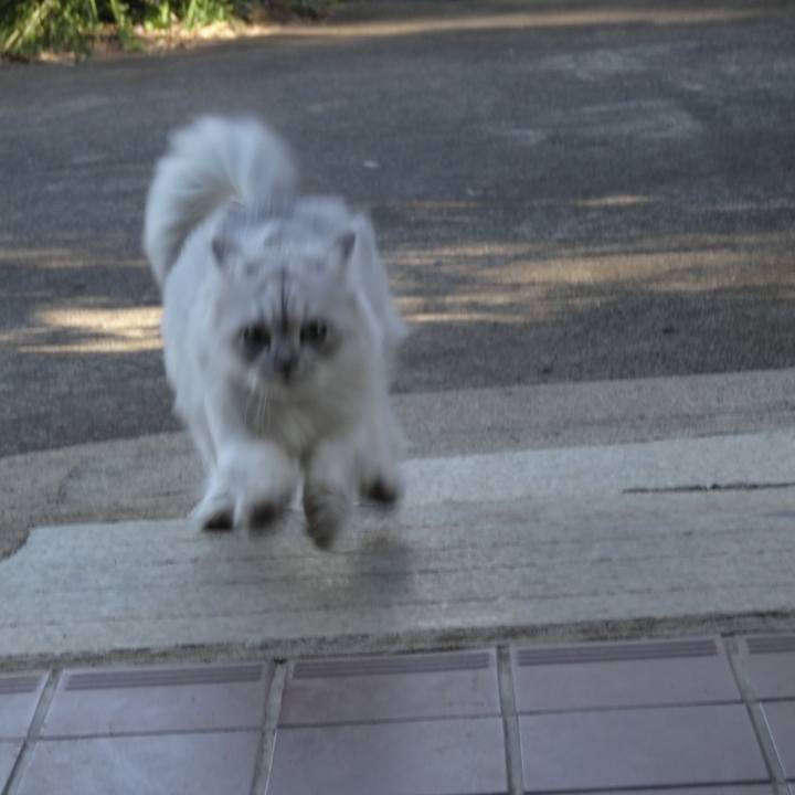 F637d1c4 7531 49a5 a726 6faad7cf9209