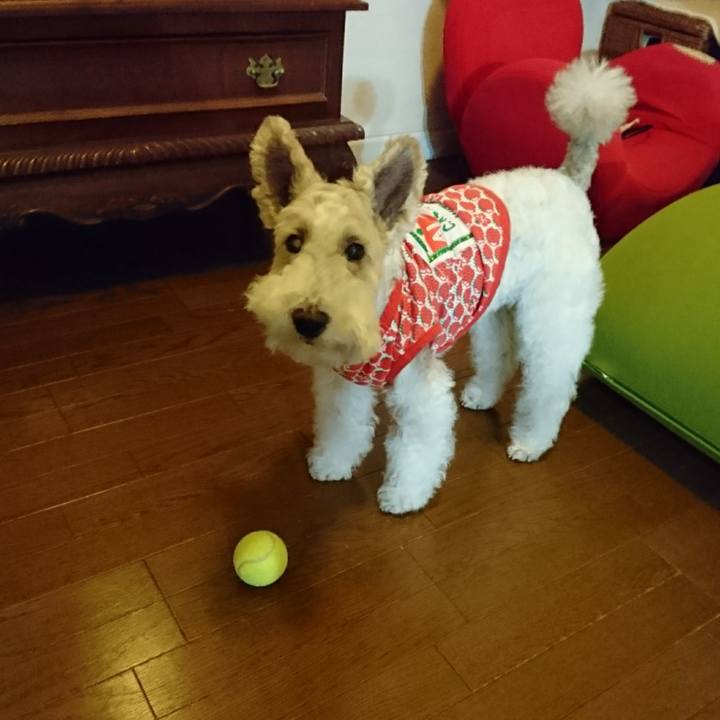 F637eda1 8b1d 47c5 bd01 8b9e90f3a9de