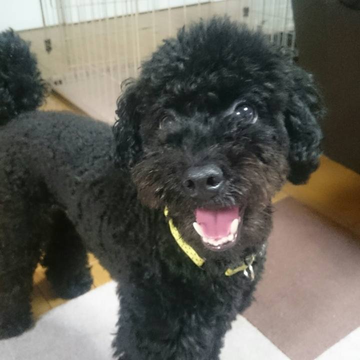 F6380d60 0e4b 4c06 952d 99af5ea5a0ed