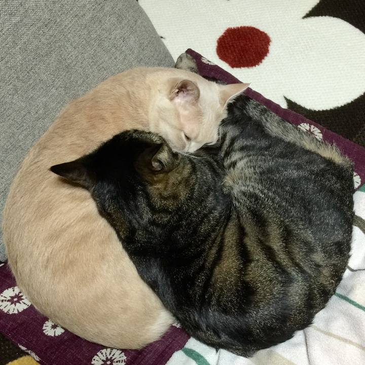 F638270b 3cef 420a a257 0280bcc2ce14