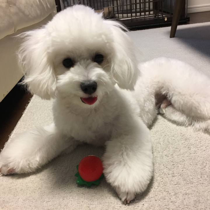 F6384fe7 e9d0 4f7b b4d6 ad6b6fbeab9a