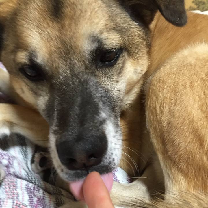 F638d672 5023 4977 a76f d13b3bce7a08