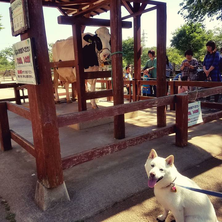 F63939ee 548f 42e3 a7d8 6923910c22a0