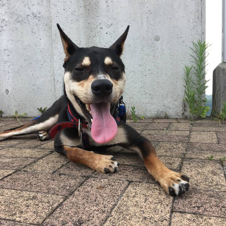 F639a4a7 060e 468e 9e80 9bb7fb1a0a17