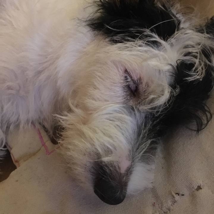 F639a66f 171c 4b82 93e7 f821e9266ab5