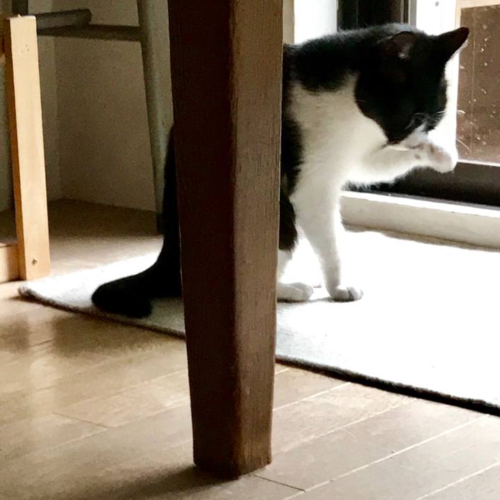 F63a34f8 6e64 4a22 b63d 6a6dd43f643f