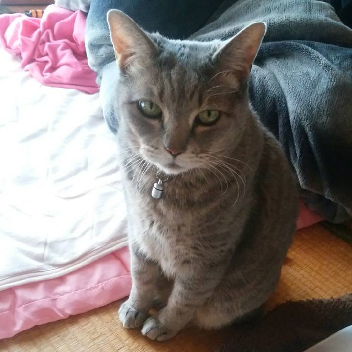 F63a3f43 24aa 426d 9769 5758ca3018dd