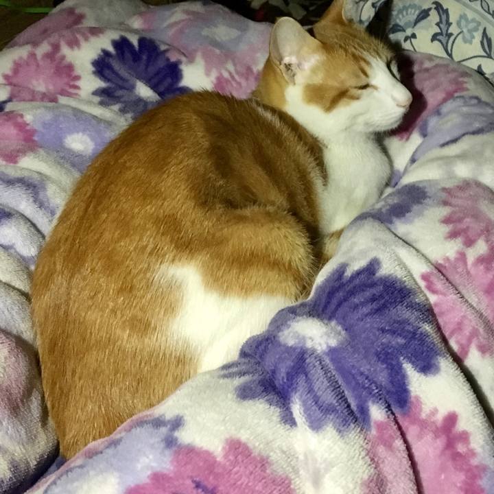 F63aa357 c97a 494c ae2a 247e2f48c8b6