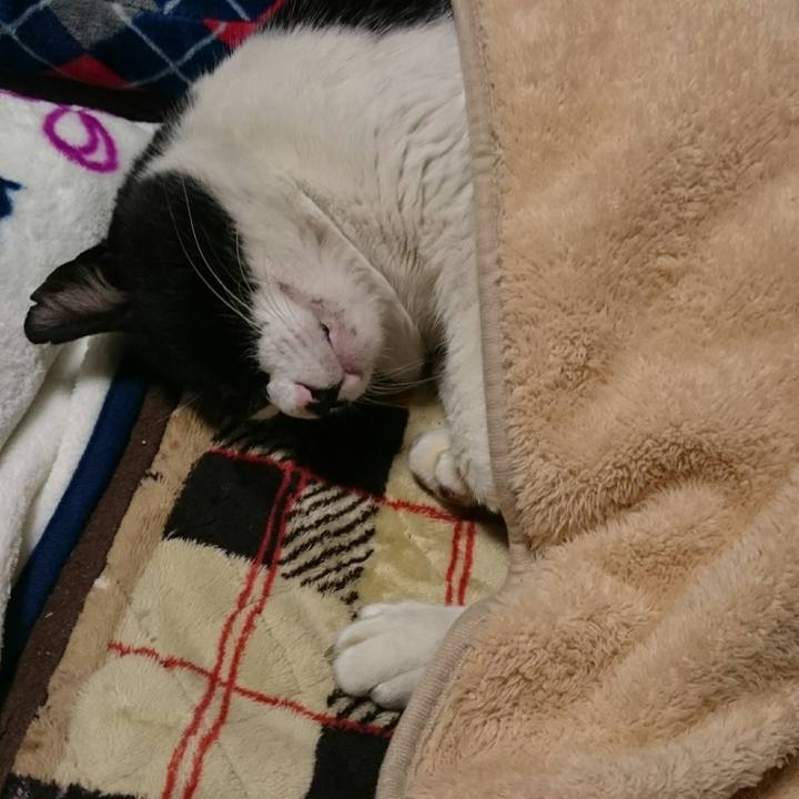 F63b1511 18b0 4ee2 9786 b0c236be602c