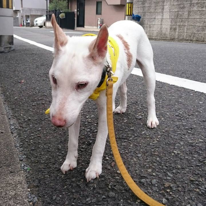 F63b5d7e 76ec 4f62 805a 412f1e5129e5