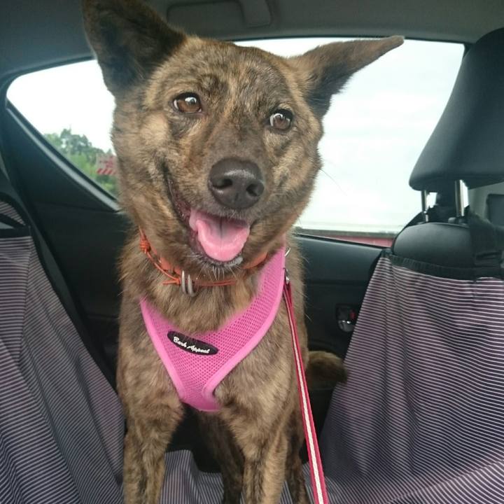 F63b75a5 cece 4c33 bd67 795aee4e6087