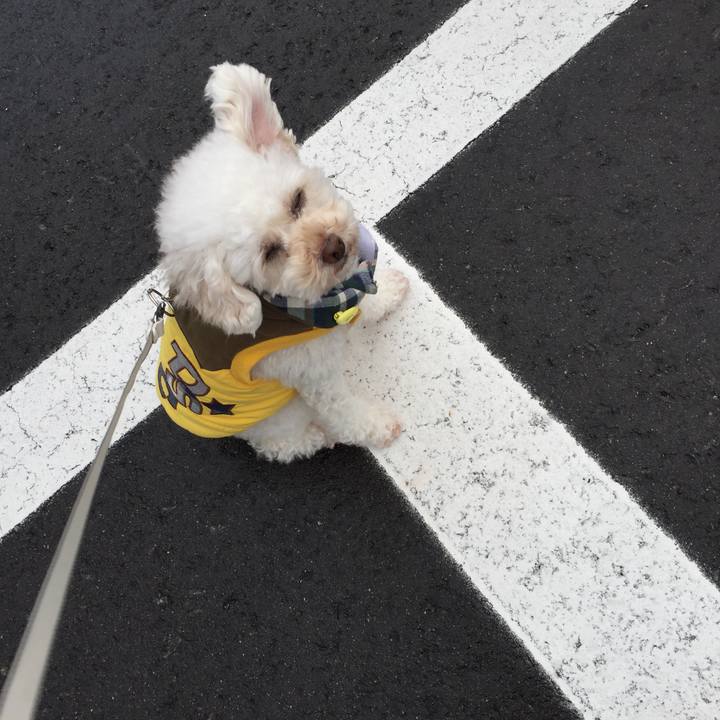 F63b9d2d 300e 48e9 8487 860c7e346ed4