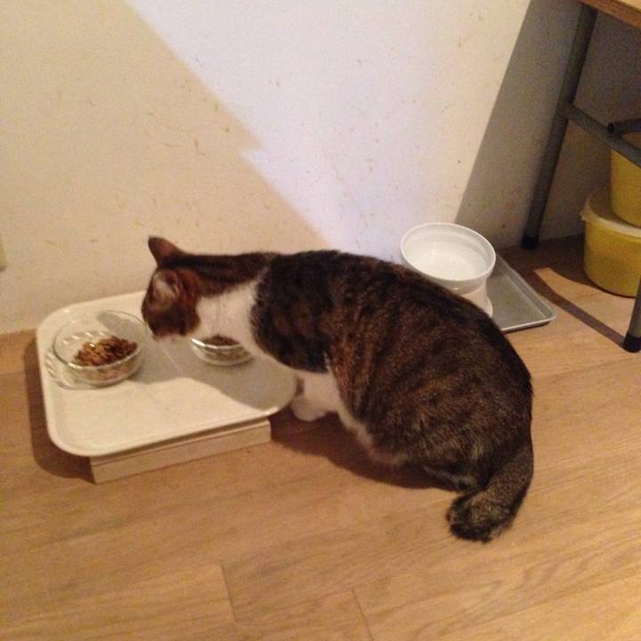 F63babd2 1dce 4282 881f 3746850af758