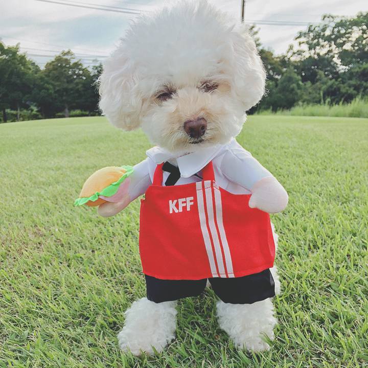 F63bde8c f9fd 409e 9cda 515acb228052