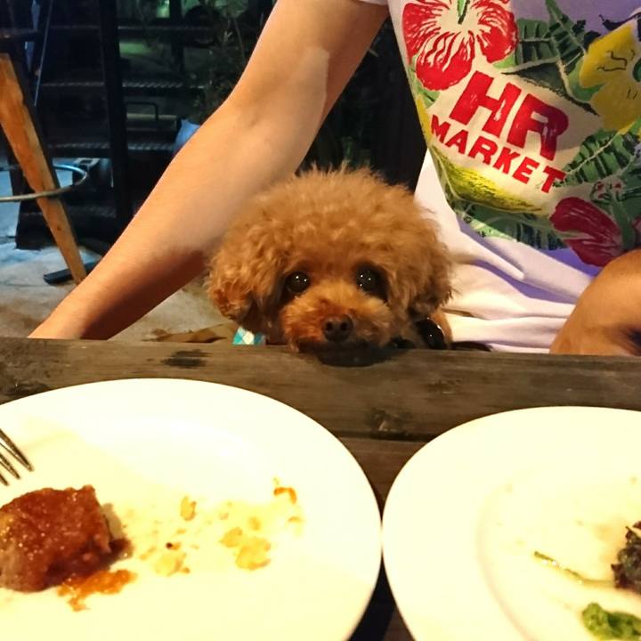 F63beb64 2e98 4f76 be5d 25403d3615a6