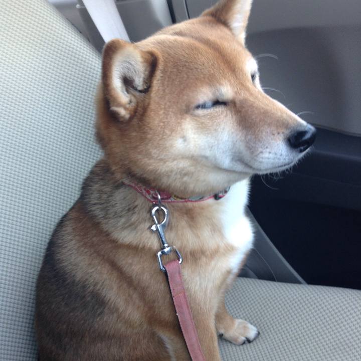 F63bf403 9dd0 48ef 97ac e7cebc0d129c