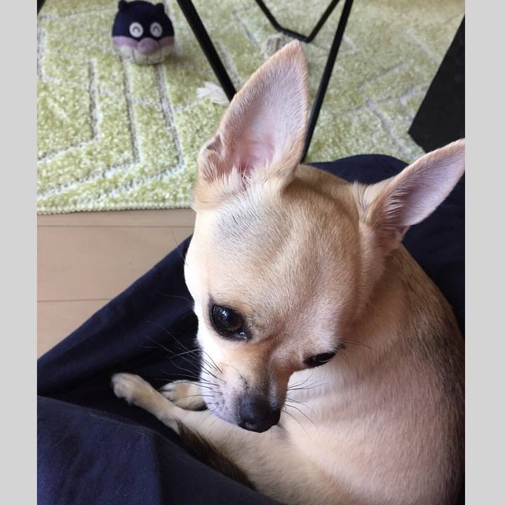 F63c21cd 2436 4a84 ab80 629de13e3d83