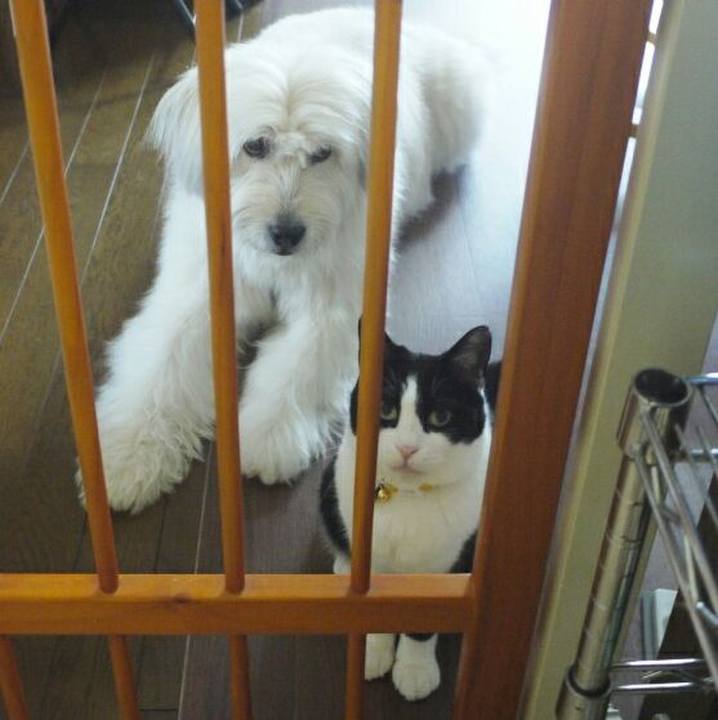 F63c677a cdc3 4bc9 b96b 3e67c5d1d876