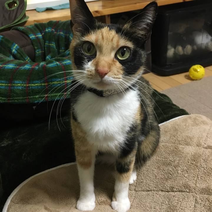 F63c6d95 5727 4537 8a1b fd3ad14ada2e