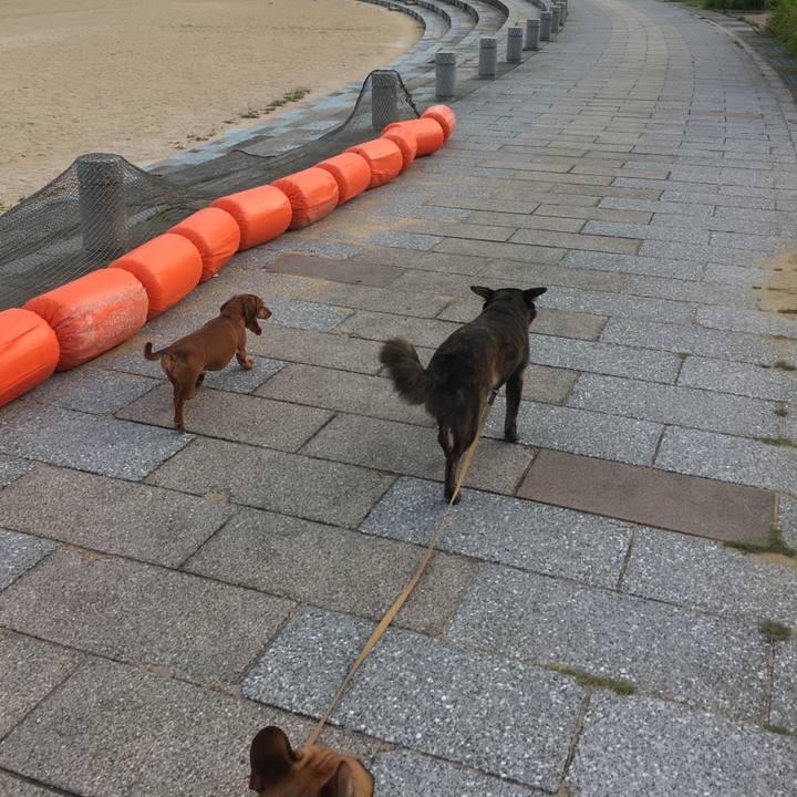 F63daa7a 0d21 48fb bfc9 7fc9a48121f5