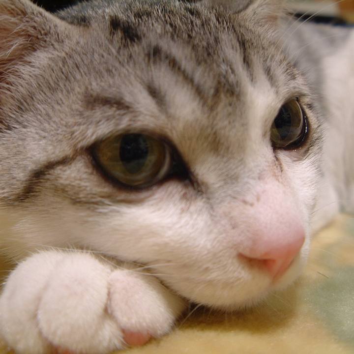 F63e0e91 a589 4947 953a 48ea3ce02f72