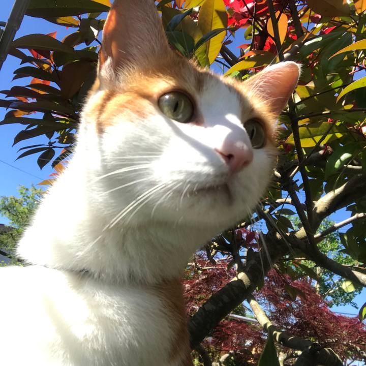 F63e37d0 c062 42e4 a36e 442c52e413e8