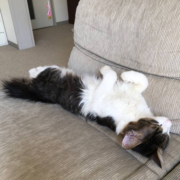 F63e48f8 f375 4e5c 963c 3251d285f9d4