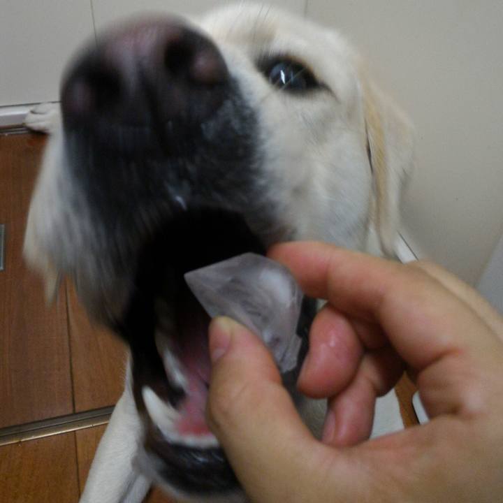 F63e58f5 e073 4d26 b024 5e85385cf06c