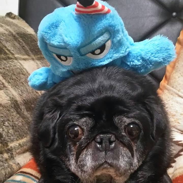 F63f154e 68bc 49be b788 45730d2496ec