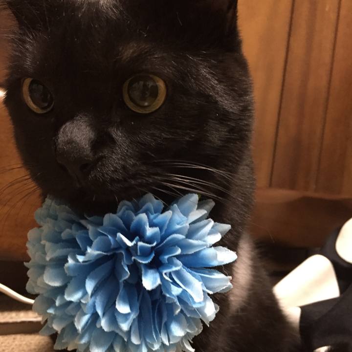 F63f237f 9f34 4887 bbfb 389fb5794048