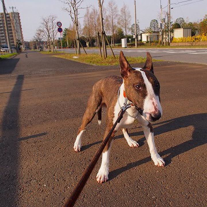 F63fb758 dd26 43f9 b5d5 e320048fa474