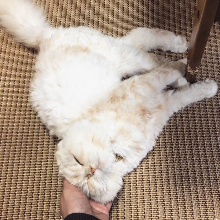 F640b5d2 5d1f 499b b7aa 06fc4f57eded