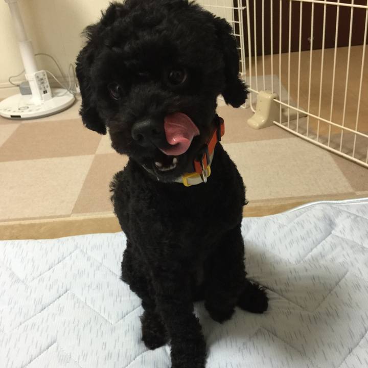 F640d3e1 5294 4935 bed0 5288ce0abbcc